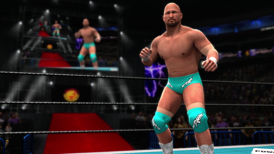 WWE '13