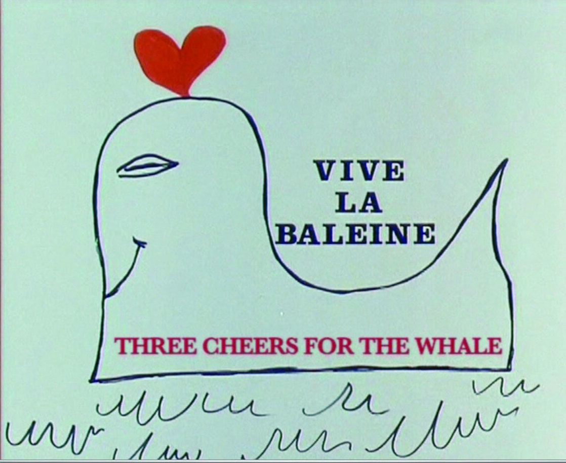 Three Cheers for the Whale