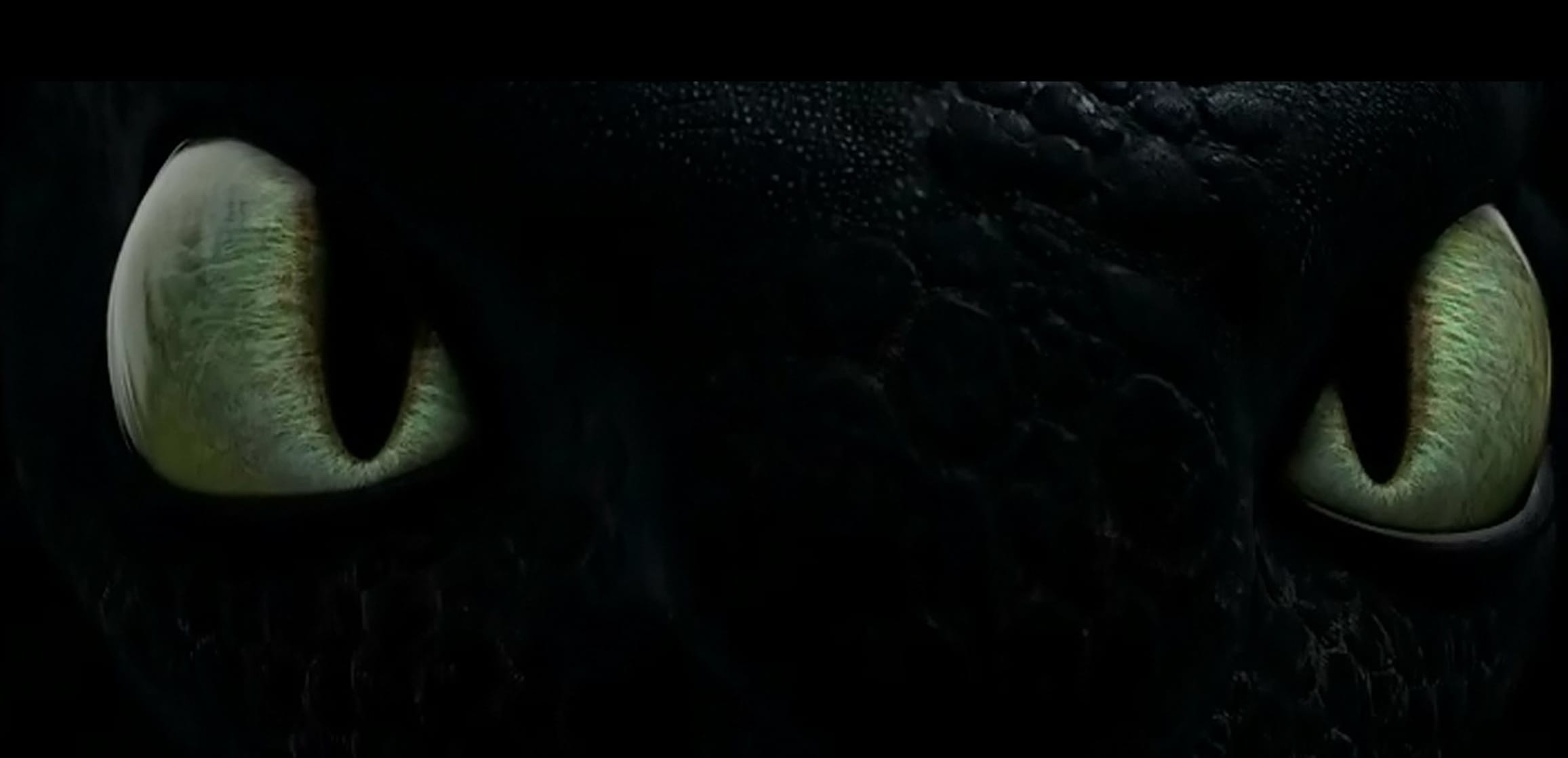 How to Train Your Dragon