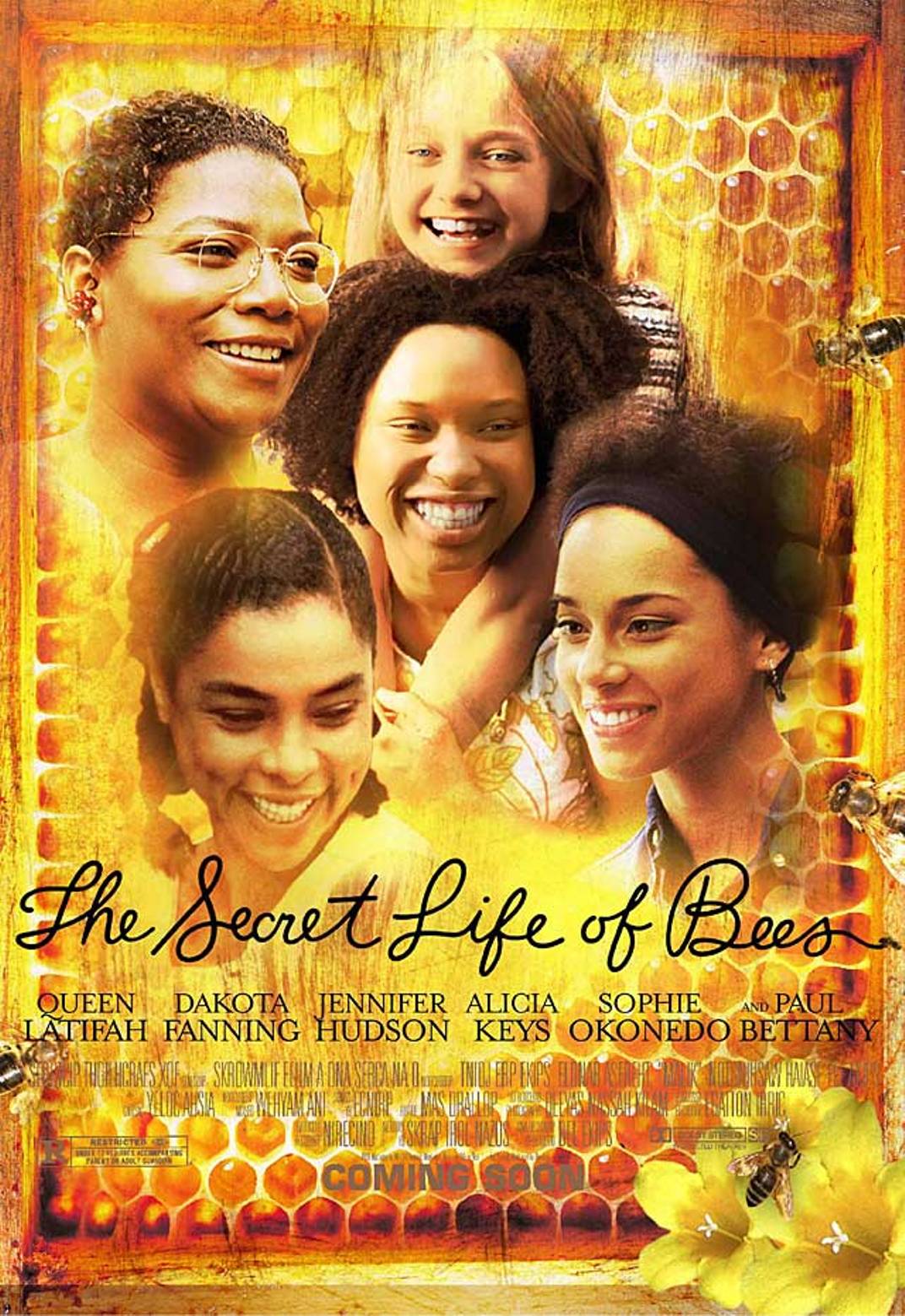 movie reviews of secret life of bees