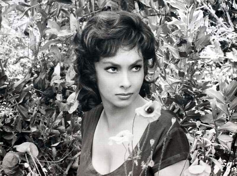 Gina Lollobrigida