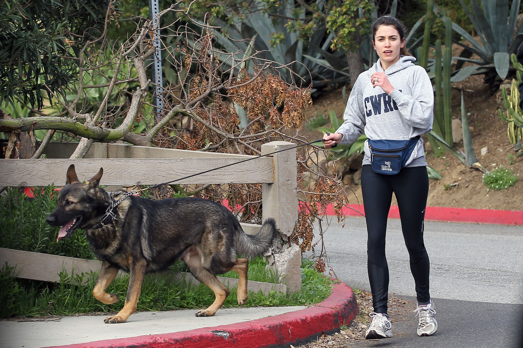 Nikki Reed