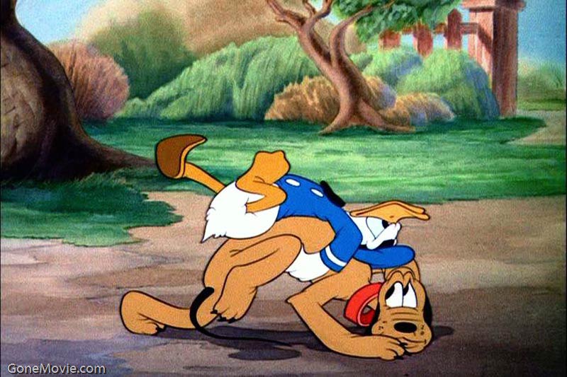 Donald's Dog Laundry