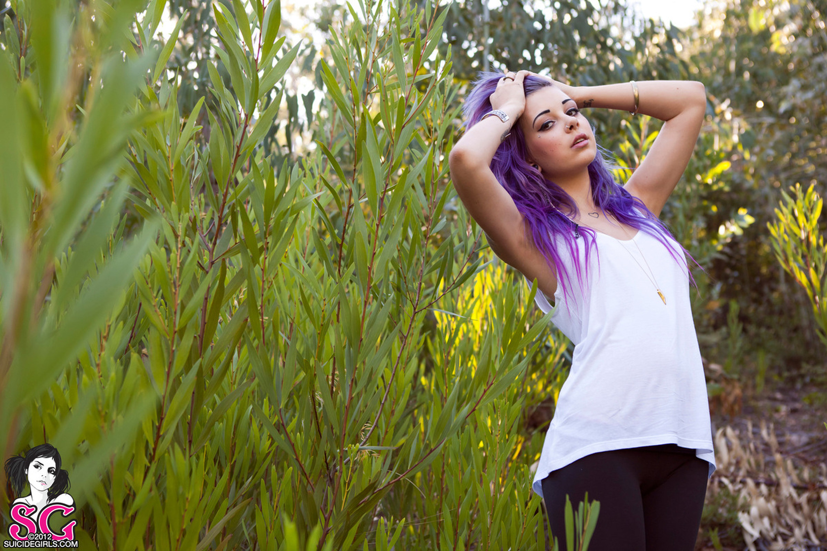 Plum Suicide