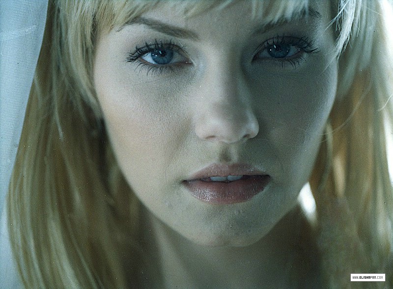 Elisha Cuthbert Elisha Cuthbert