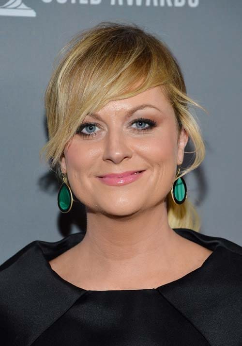 Amy Poehler Fake