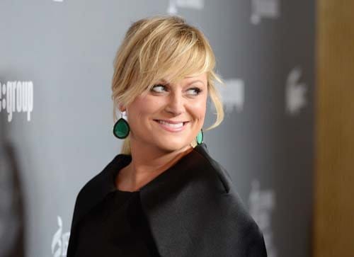 Amy Poehler Fake