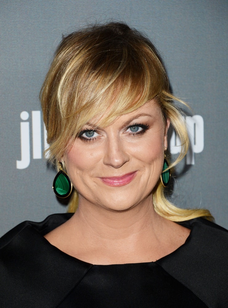 Amy Poehler Fake