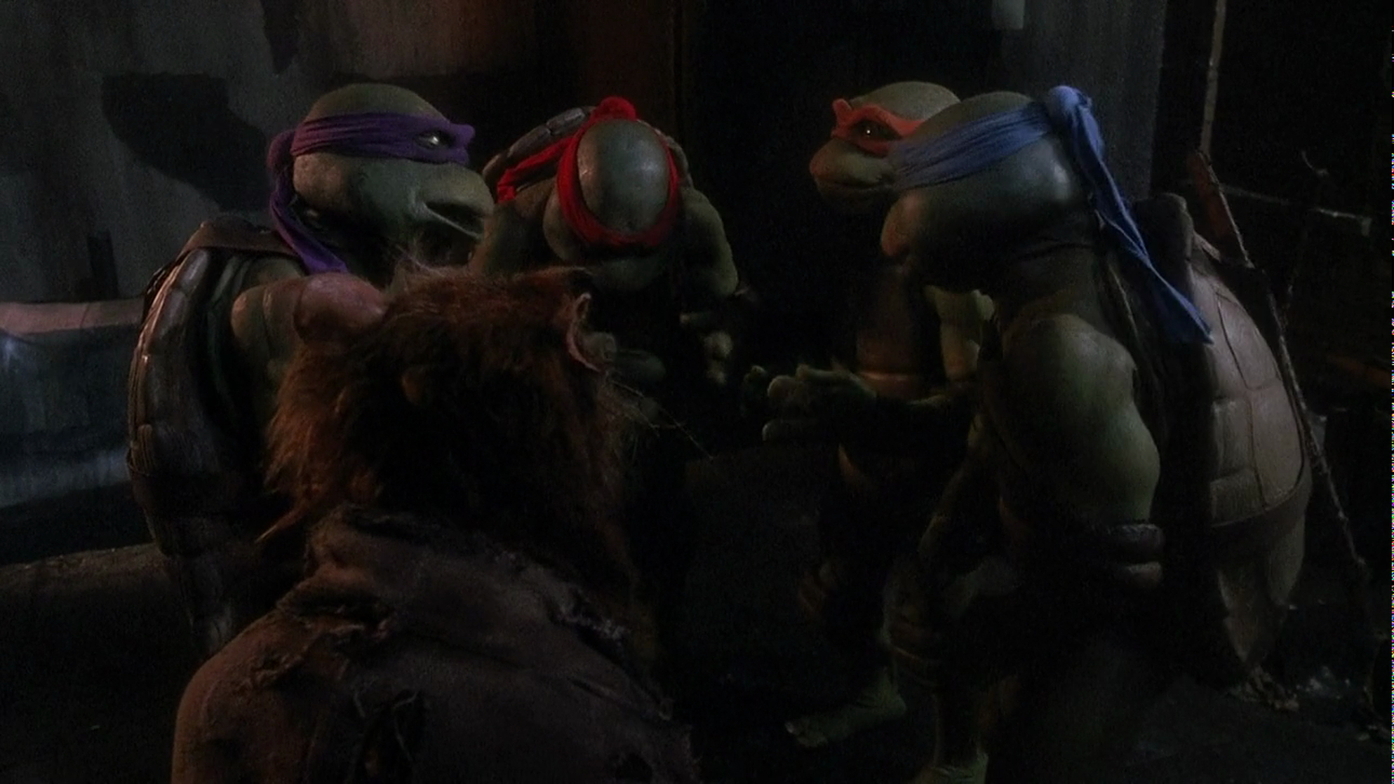 Teenage Mutant Ninja Turtles Teenage Mutant Ninja Turtles