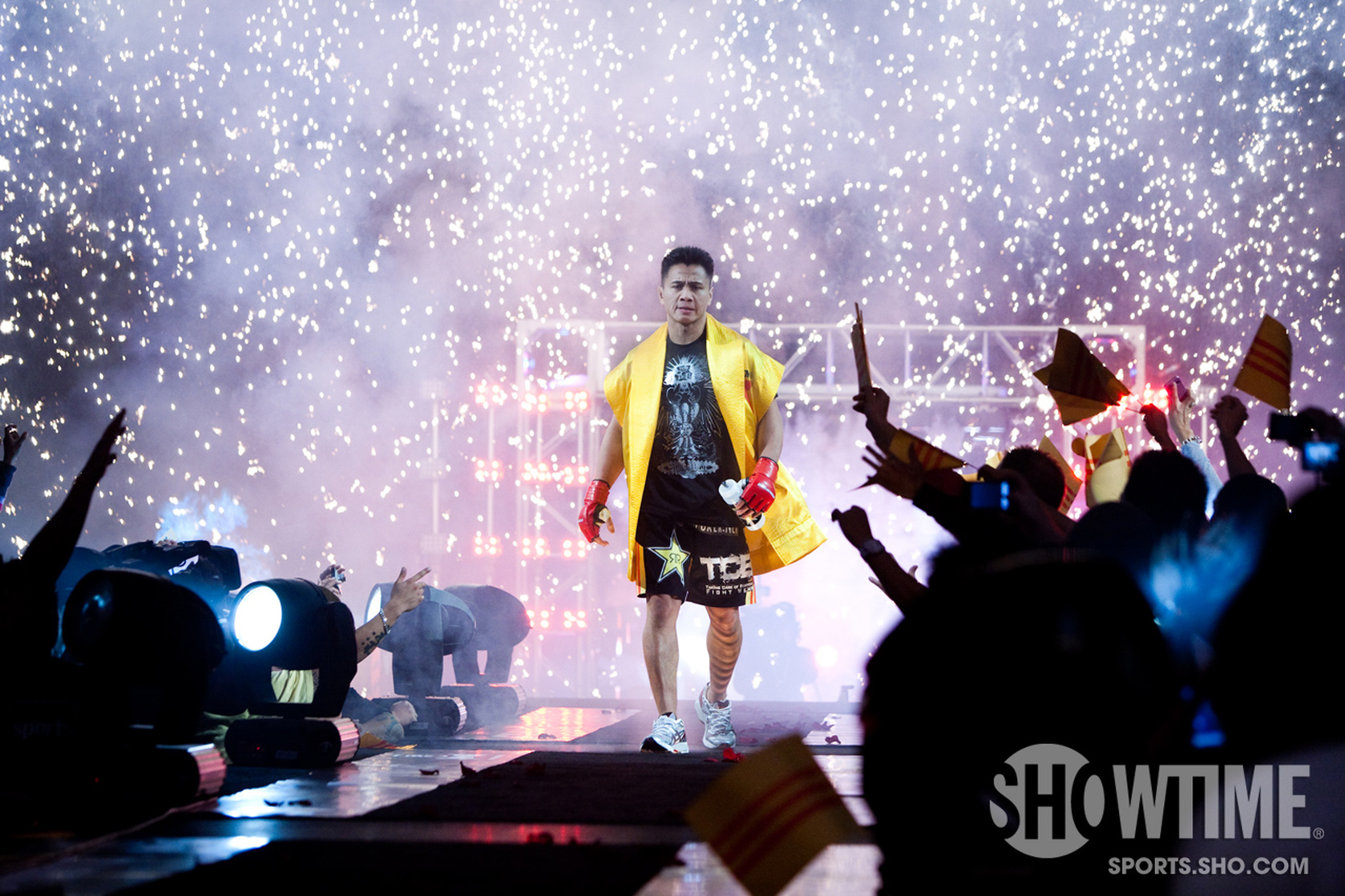 Cung Le