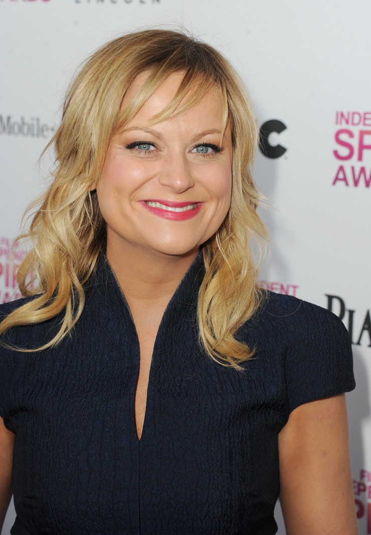 Amy Poehler Fake