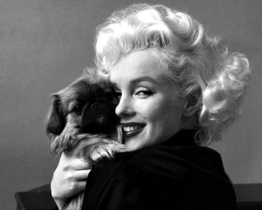 Marilyn Monroe Marilyn Monroe