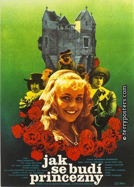 Picture of Jak se budí princezny