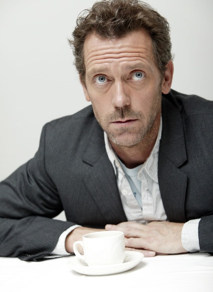 Picture of Hugh Laurie