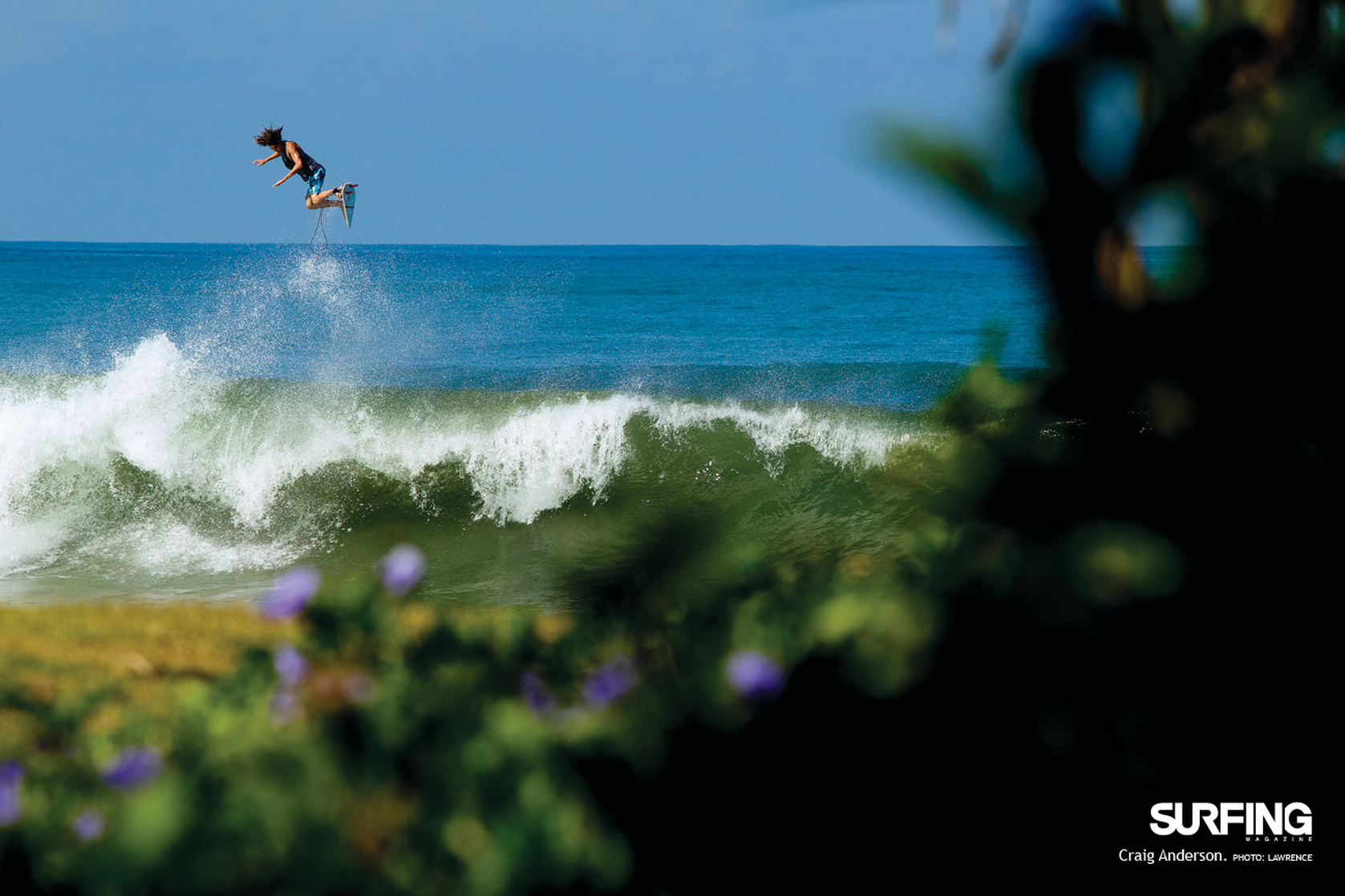 Craig Anderson