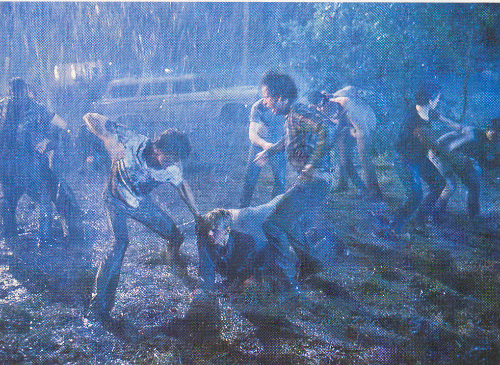 The Outsiders (1983)
