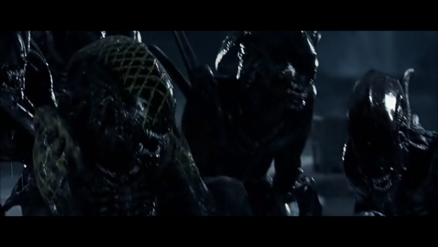 Picture of AVP: Alien vs. Predator
