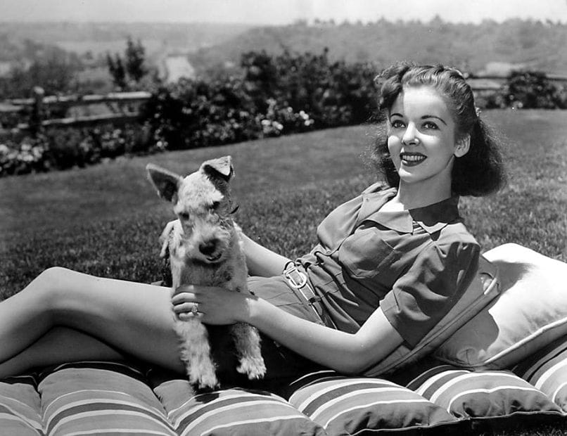Ida Lupino Ida Lupino
