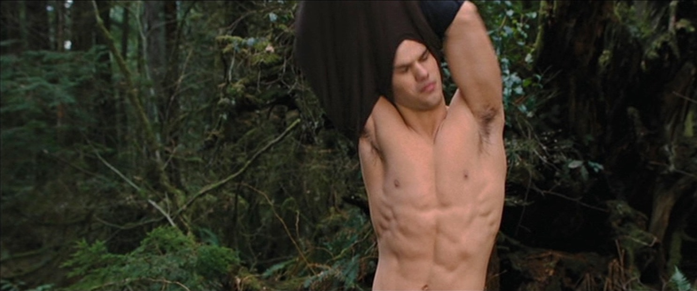 The Twilight Saga: Breaking Dawn: Part 2