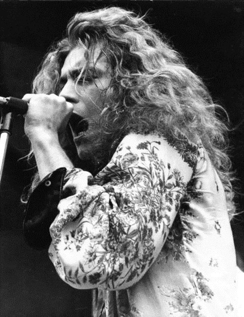 Picture of Robert Plant