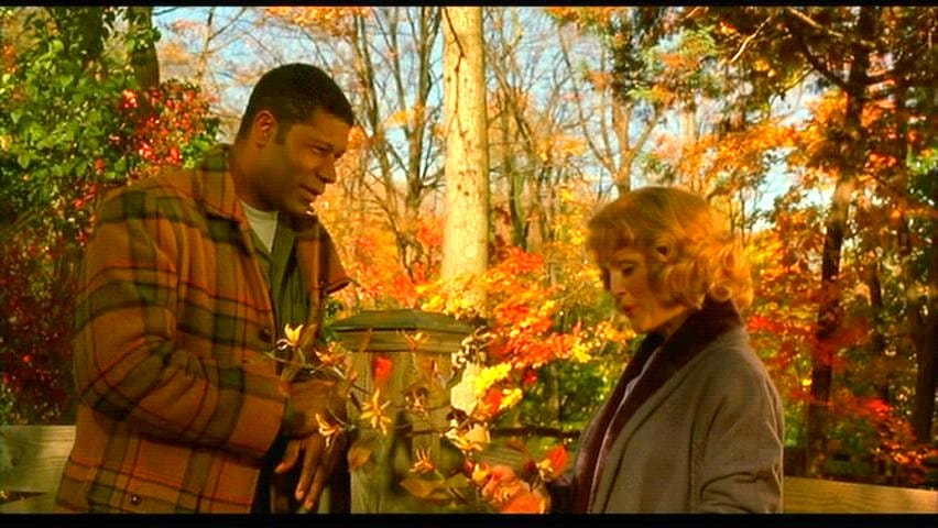 Far from Heaven (2002) Far from Heaven (2002)