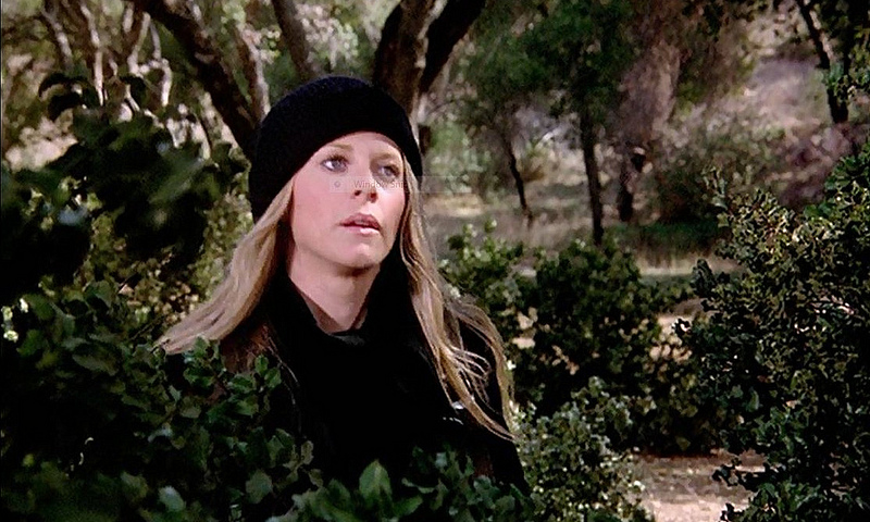 Lindsay Wagner