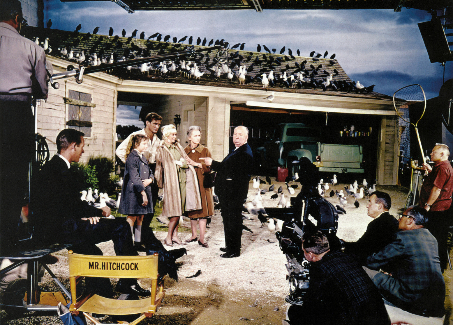 The Birds The Birds