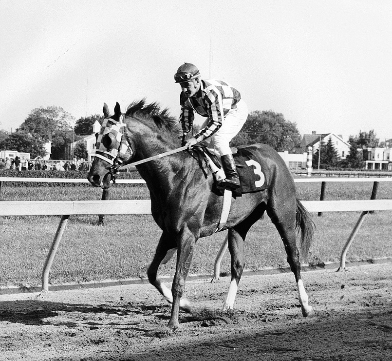 Picture Of Secretariat