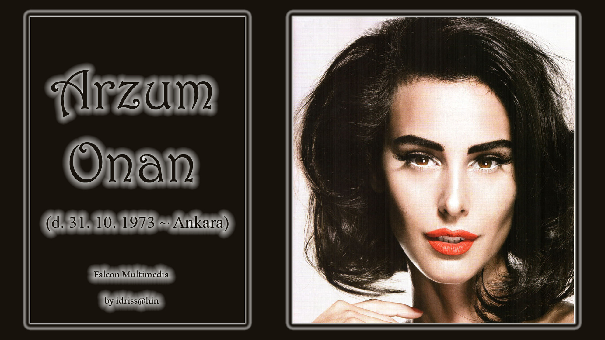 Arzum Onan