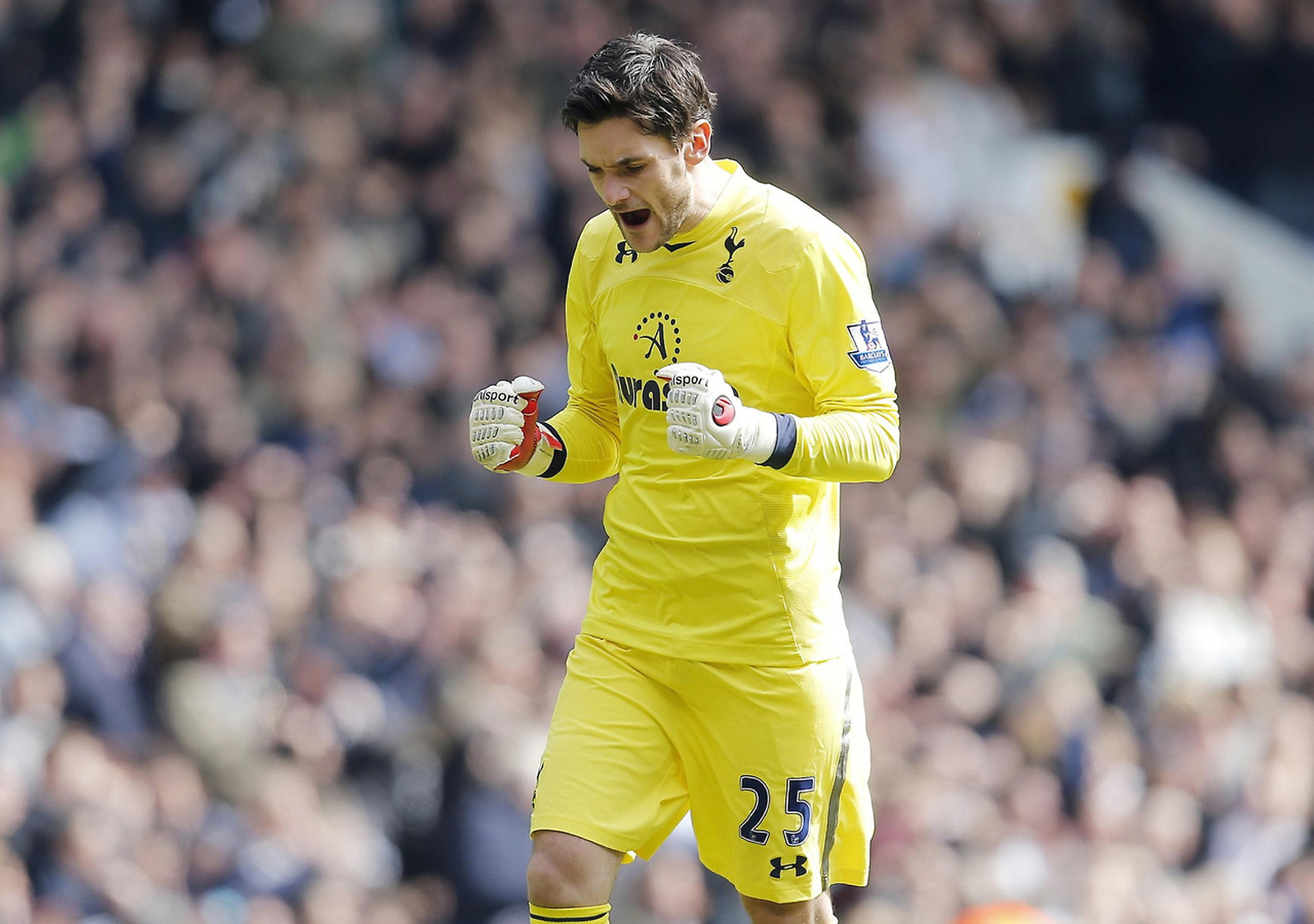 Hugo Lloris