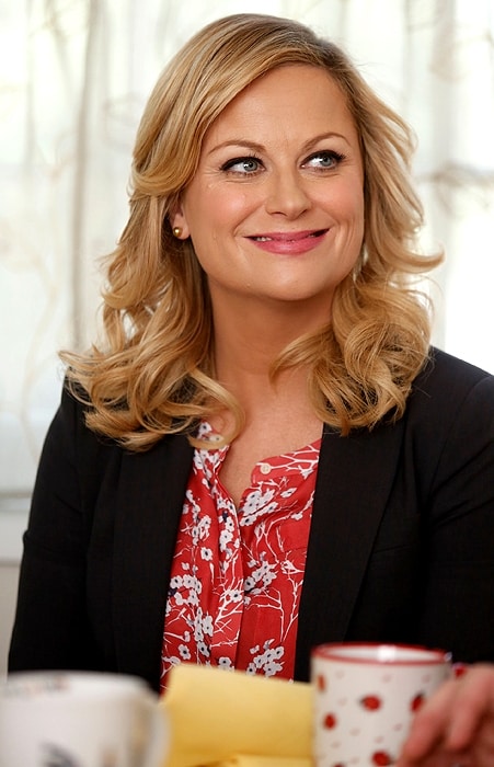 Picture Of Amy Poehler