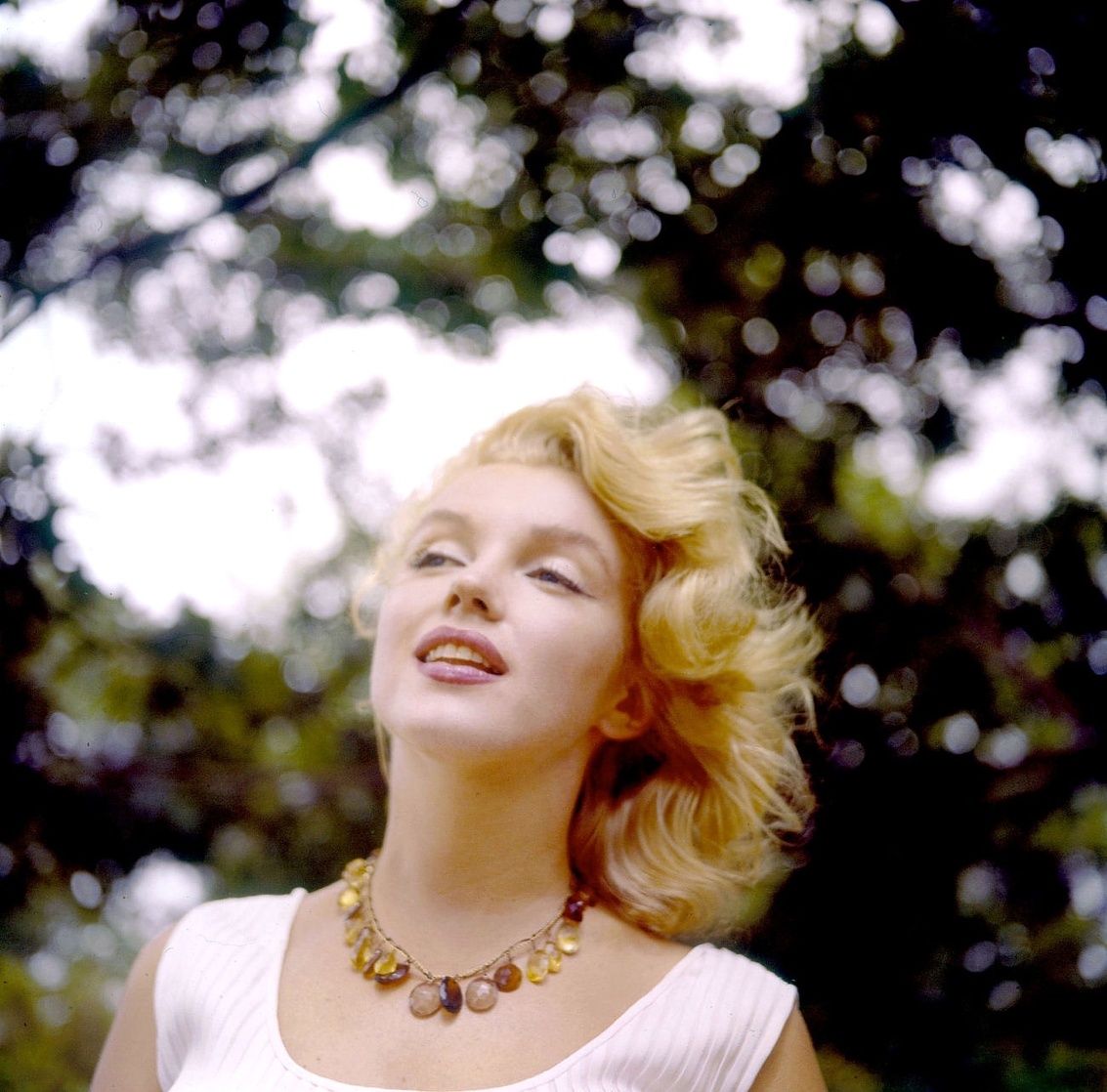 Marilyn Monroe Marilyn Monroe