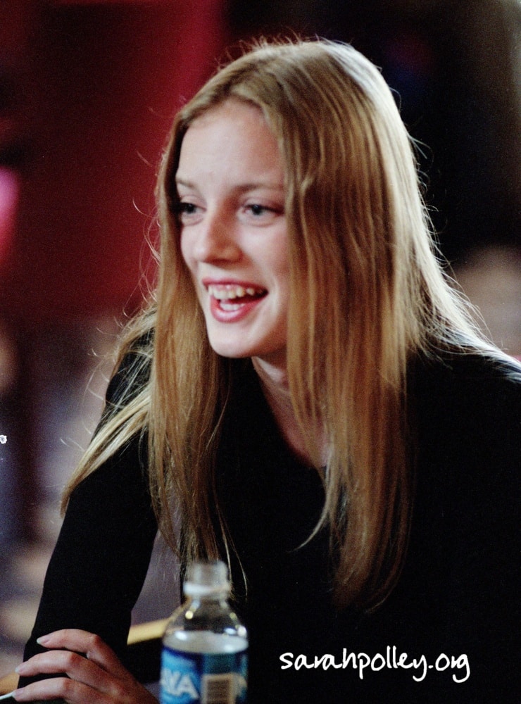 Next photo of Sarah Polley