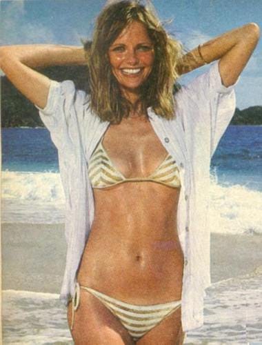 Picture of Cheryl Tiegs.