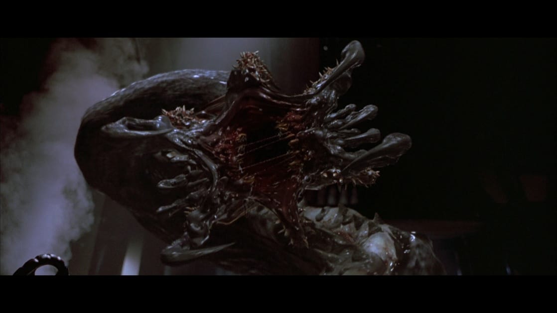 Deep Rising