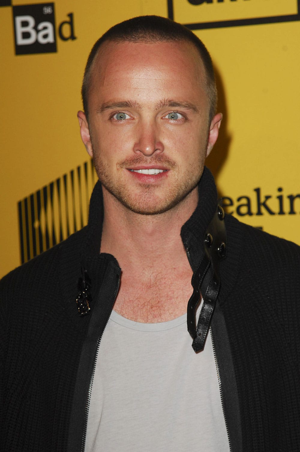 Picture of Aaron Paul