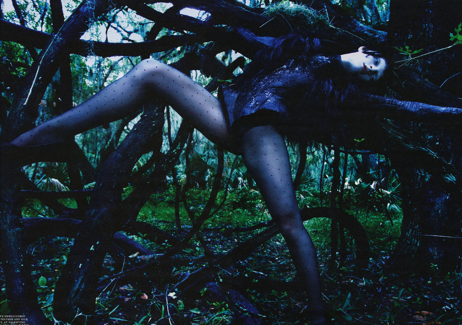 Guinevere Van Seenus