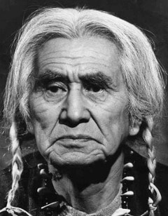 Chief Dan George image