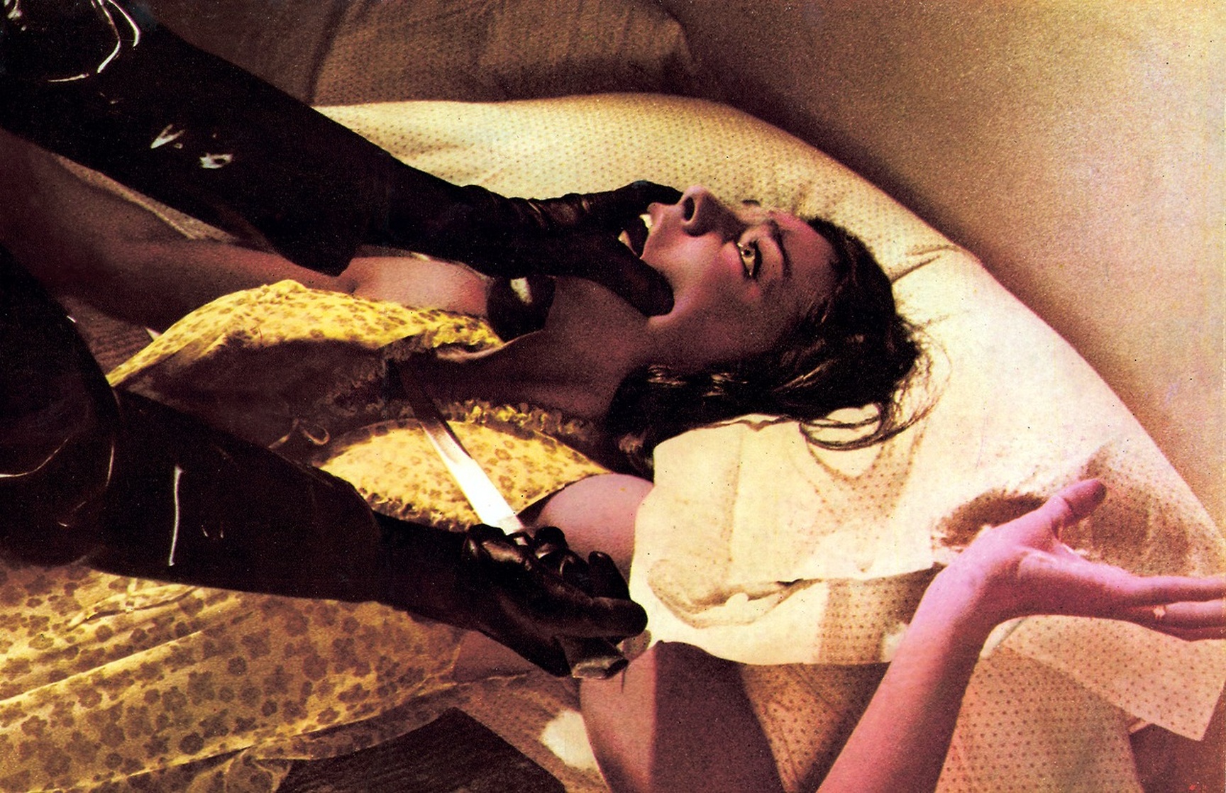 The Bird with the Crystal Plumage (1970) The Bird with the Crystal Plumage (1970)