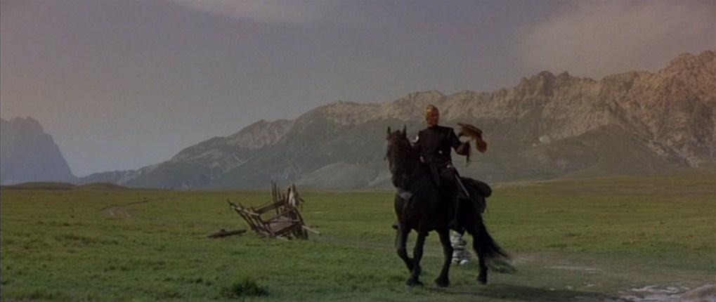 Ladyhawke