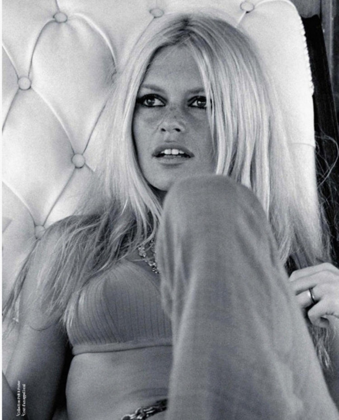Brigitte Bardot