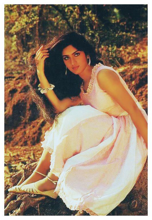 Image Of Meenakshi Sheshadri