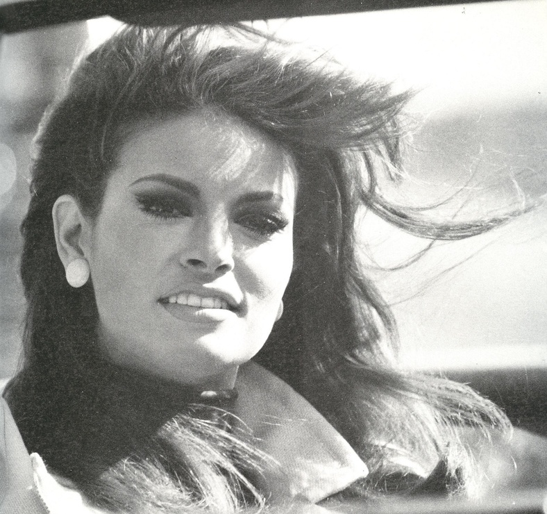 Raquel Welch image Raquel Welch image