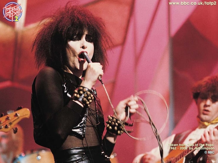 Picture Of Siouxsie Sioux