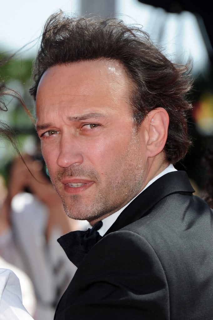 Picture Of Vincent Perez