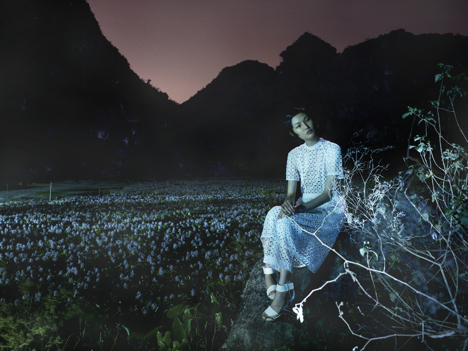 Wang Xiao