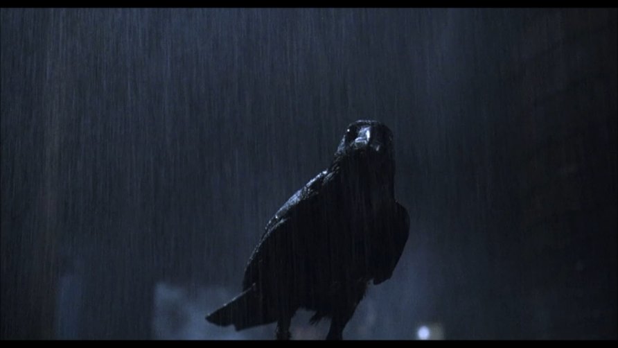 The Crow The Crow
