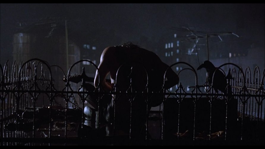 The Crow The Crow
