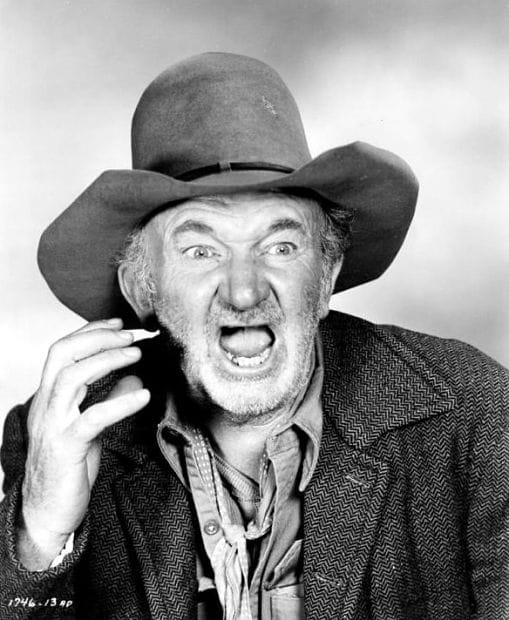 Picture of Walter Brennan.