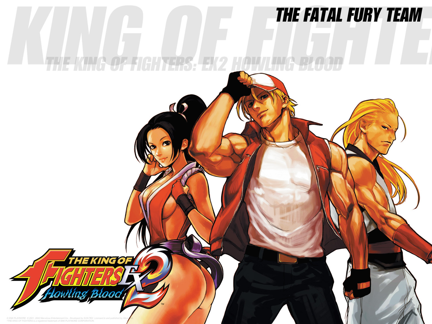 The King Of Fighters XI